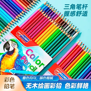 天辉无木彩色铅笔套装，36色专业美术绘画儿童，填色画笔24色油性彩铅