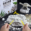 正版恐龙化石考古挖掘玩具，儿童男孩霸王龙大号，盲盒挖宝石石膏匹诺