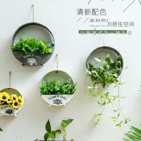 田园挂花
