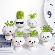 草头娃娃可爱表情小盆栽办公室，摆件长草植物迷你创意儿童种植礼物