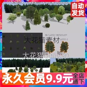 unity3d包更新(包更新)easytreespack(mobile，)1.0森林，包植物(包植物)树木素材