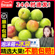 李子新鲜水果25斤孕妇水果当季酸脆三月李青三华李