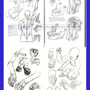 morpho人体形态绘画教程骨骼，关节脂肪手脚衣褶，画法理解参考素材