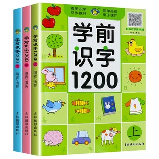 幼小衔接学前识字大全1200字儿童认字书幼儿园宝宝看图识字大王1000字3–6岁早教启蒙绘本发声书学汉字有声卡片神器象形卡片3000字