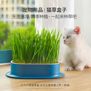 猫草种子盆栽无土有机猫草盒罐头猫小麦草化毛球神器盆栽猫咪零食