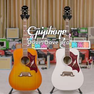 Epiphone依霹风Dove studio Pro鸽子电箱单板民谣和平鸽木吉他