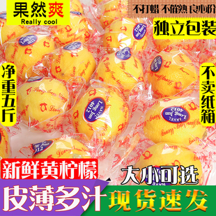 四川安岳黄柠檬(黄柠檬)5斤新鲜水果皮薄，一级特产香水鲜甜柠檬青