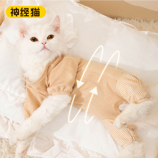 四脚护肚小猫咪衣服防掉毛幼猫布偶无毛猫猫秋冬保暖宠物用品冬季