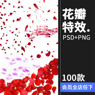 玫瑰花朵花瓣飘散落散花特效，png高清免抠图psd婚纱照设计素材