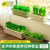 史丹利阳台种菜盆蔬菜，专用家用花盆长方形室内塑料，长条盆种植神器