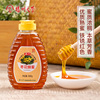 扬州大学蜂蜜农家自产枣，花蜜一斤挤压瓶装原味，纯正天然无添加土真