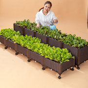 阳台种菜箱蔬菜种植箱花盆露台天台塑料长方形种菜神器楼顶盆栽