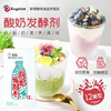 百钻酸奶发酵剂12菌型家用酸奶机自制酸奶发酵酵母菌粉益生菌3包