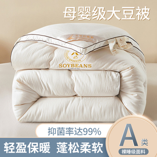 大豆纤维棉被子冬被芯2024年冬季春秋天10斤四季通用加厚保暖