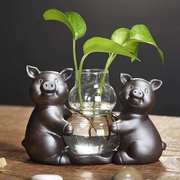 绿萝水培花瓶玻璃富贵竹水养植物桌面迷你陶瓷多肉花盆花器小和尚
