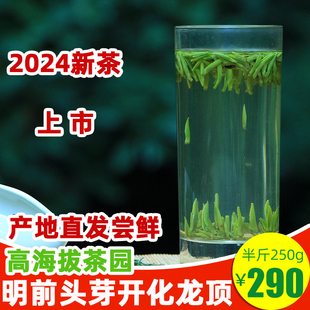 绿茶2024新茶开化龙顶雀舌茶叶清茶春茶明前特级茶叶250g罐装散装