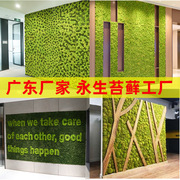 永生苔藓驯鹿芯苔藓盒，装假绿植青苔，苔藓墙室内装饰仿真苔藓