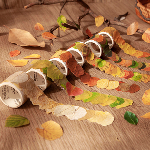 高颜值好看异形和纸胶带香榭的落叶，创意树叶子艺术diy手帐装饰贴