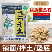 植金石日本进口兰花专用植料颗粒营养土兰花石多肉铺面石养花