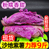新鲜紫薯10斤番薯地瓜农家，蜜薯板栗香红沙地，薯糖心山芋蔬菜5