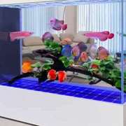 玻璃超白鱼缸靠墙屏风隔断办公室免换水，大型生态客厅落地家用