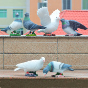 花园庭院装饰品鸽子摆件景观雕塑鸟类模型白鸽展翅家居树脂工艺品