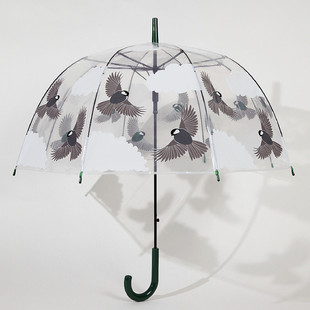 沛欣雨伞女印花泡泡伞拱形，伞芭蕉叶豹纹鸟，自动长柄伞透明伞