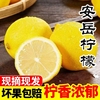 四川安岳柠檬黄柠檬24年鲜果，泡水酸爽十足整箱枇杷青柠