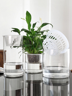 水培植物玻璃瓶子透明直筒，圆柱形花瓶简约绿萝花盆白掌水养缸容器