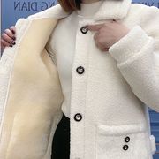 羊羔毛外套(毛外套，)女秋冬装加厚加绒皮毛，一体妈妈装中长款颗粒绒大衣