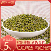 东北绿豆农家自产新鲜5斤五谷杂粮粗粮煮粥发豆芽专用散装豆子