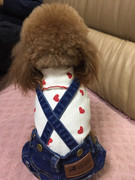 百搭牛仔背带裤子宠物服装比熊小型犬狗狗泰迪衣服春夏装秋款冬季