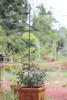 外贸铁艺螺旋型植物爬藤架，铁线莲风车茉莉，花架植物造型支架