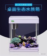 闽江小水族箱鱼缸，生态桌面鱼缸孔雀鱼斗鱼，小型热带鱼鱼缸造景