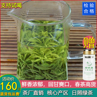 2024日照绿茶春茶新茶特级炒青，炒青绿茶500g板栗香豆鲜香半斤