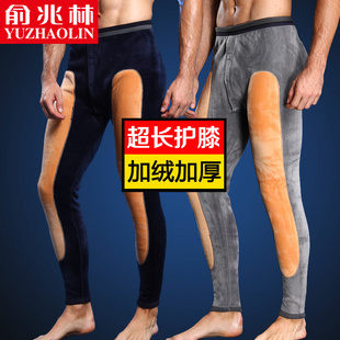 保暖裤男士秋裤加厚加绒内穿绒裤紧身打底内裤棉裤毛裤线裤秋冬季
