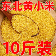 黄小米10斤小米杂粮新米2023年新22东北小米黄农家食用小黄米