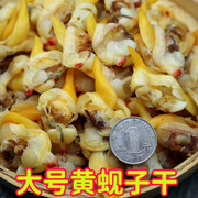 丹东东港特产大黄蚬子，干海鲜干货蛤蜊，肉干去内脏即食500克大号