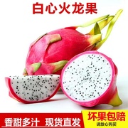 越南新鲜白心火龙果9斤白肉火龙果当季孕妇热带水果整箱