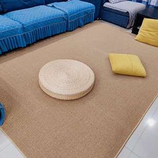 仿麻地毯拍照日式客厅卧室厨房吸水防滑猫笼磨抓大面积地垫定制