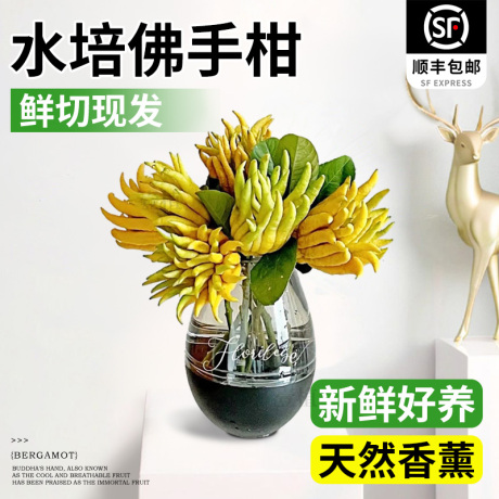 金华佛手