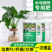 坤宁王水培植物专用营养液富贵竹龟背竹睡莲铜钱草吊兰通用型肥料