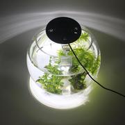 小夹植物补光灯led灯，圆形全微景观谱鱼缸，水草光水族照明灯缸