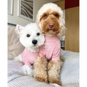 纯色针织衫 OVERGLAM英国宠物衣服中小型犬狗猫秋冬保暖粉色毛衣