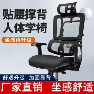 小星木W99AH人体工学椅办公椅电脑椅网红椅大体重高个子