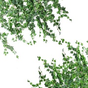仿真爬山虎藤条装饰树叶子植物塑料，假花绿植叶水管道吊顶缠绕遮挡