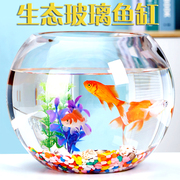 孔雀鱼鱼缸专用圆球形养金鱼办公桌乌龟小型水族箱生态高透明玻璃