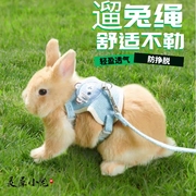 遛兔绳子荷兰猪豚鼠放风用品，宠物牵引绳防挣脱带子龙猫绑带不勒
