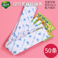 50条绿叶粘蝇彩带贴纸苍蝇纸