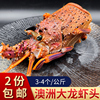 澳洲大龙虾头3-4头公斤澳龙头，西澳岩石龙虾生冻低温保鲜2份